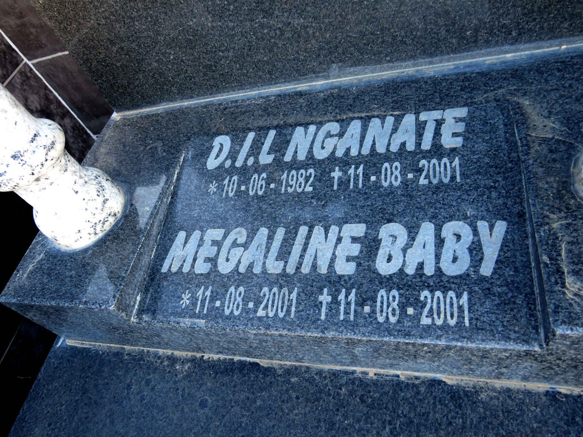 NGANATE D.I.L. 1982-2001 :: NGANATE Megaline 2001-2001
