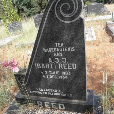 REED A.J.J. 1903-1964