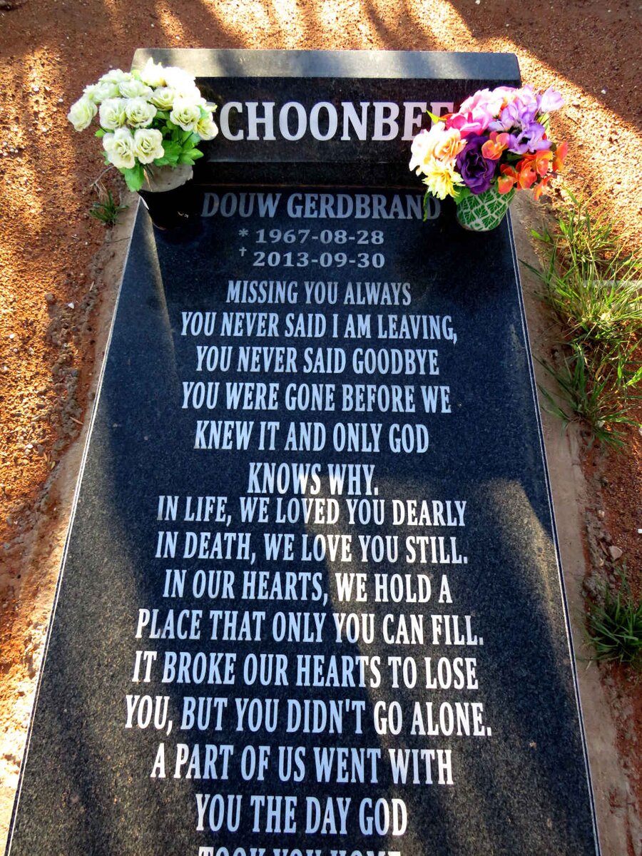 SCHOONBEE Douw Gerdbrand 1967-2013