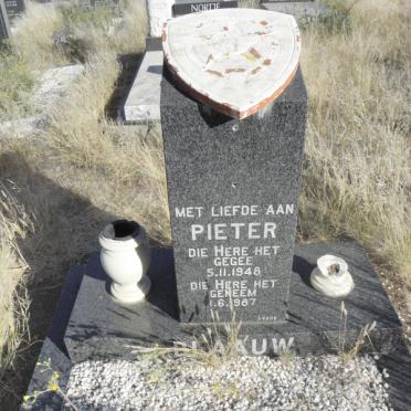 BLAAUW Pieter 1948-1987