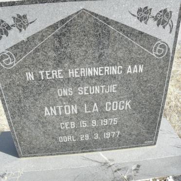 COCK Anton, la 1975-1977