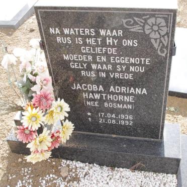 HAWTHORNE Jacoba Adriana nee BOSMAN 1936-1992