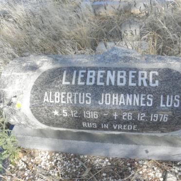 LIEBENBERG Albertus Johannes Lus 1916-1976