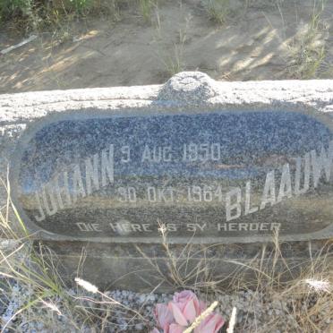 BLAAUW Johann 1950-1964