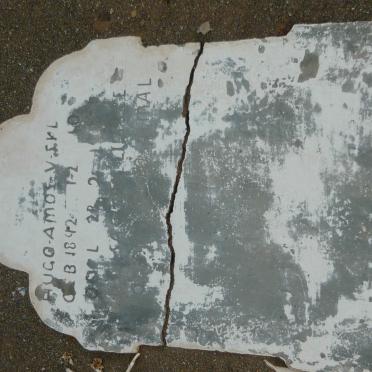 ZYL Hugo Amos, VAN 1892-