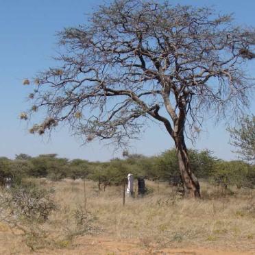 2. Overview / Oorsig