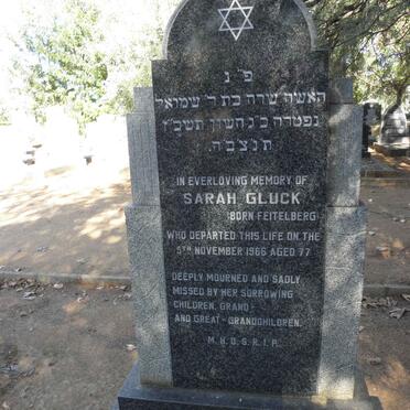 GLUCK Sarah nee FEITELBERG -1966