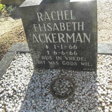 ACKERMAN Rachel Elisabeth 1966-1966