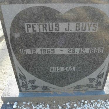 BUYS Petrus J. 1969-1969