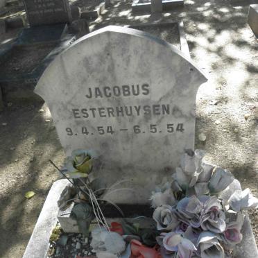 ESTERHUYSEN Jacobus 1954-1954