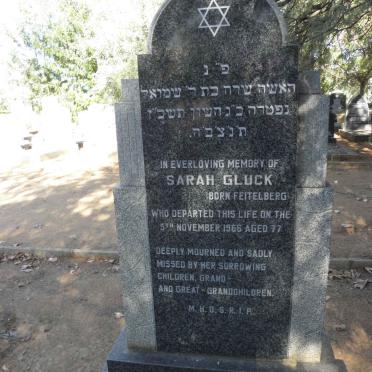 GLUCK Sarah nee FEITELBERG -1966