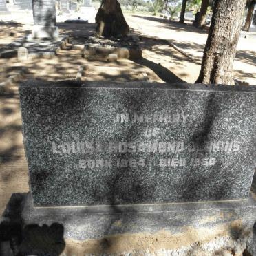 JENKINS Louisa Rosamond 1864-1950