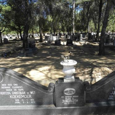 KOEKEMOER :: JUNGBLUTH