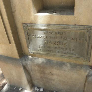 SMINK-DENGLER Harrie 1907-1928