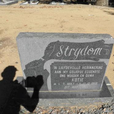 STRYDOM Kotie 1897-1968
