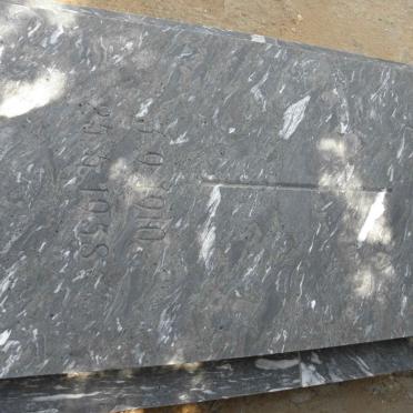 ZIMMER Hans 1910-1958