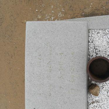 ? MAN ?an, de 1984-1984