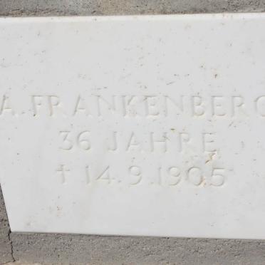 ANKENBERG A. FP.-1905