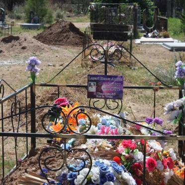 ARLANDO Lisarl Hames 1957-2012