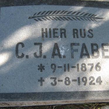FABER C.J.A. 1876-1924