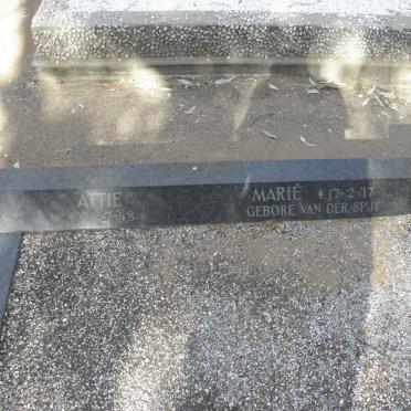 BASSON Marie nee VAN DER SPUY 1917-1963 :: BASSON Dirkie 1948-1963 :: BASSON Attie 1948-1963 :: BASSON Marietjie 1957-1963