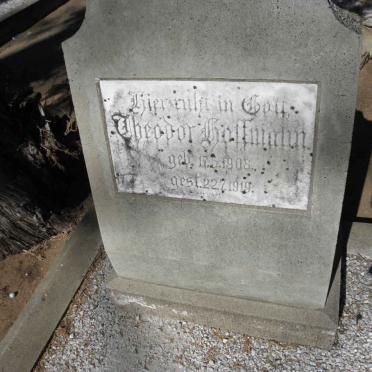 HOFFMANN Theodor 1908-1919