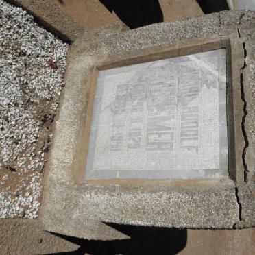 TESSMER Karl Rudolf 1879-1941