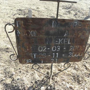 NIEKEL Maxine Alagoa 2000-2000