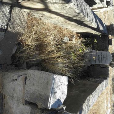 SWEMMER Archie -1922