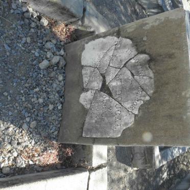 McDOUGAL J.?.C. 1899-1904