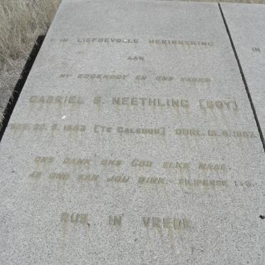 NEETHLING Gabriel S. 1883-1957 &amp; Cronje VILJOEN 1900-1983 