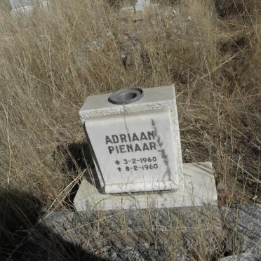 PIENAAR Adriaan 1960-1960