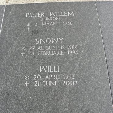 PLESSIS Pieter Willem, du 1938- :: DU PLESSIS Snowy 1984-1994 :: DU PLESSIS Willi 1993-2007
