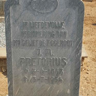 PRETORIUS J.A. 1963-1954