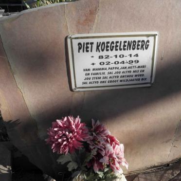 KOEGELENBERG Piet 1982-1999
