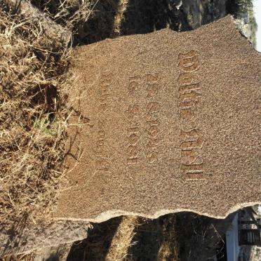 NELL Waltie 1943-1981