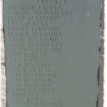 Wall Panel 93. Other South African wartime casualties