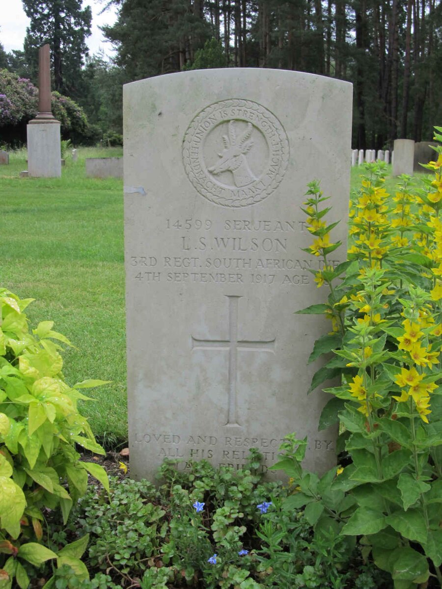 WILSON L.S. -1917