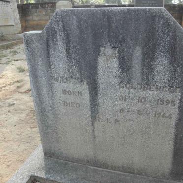 GOLDBERGER Wilhelm 1895-1964