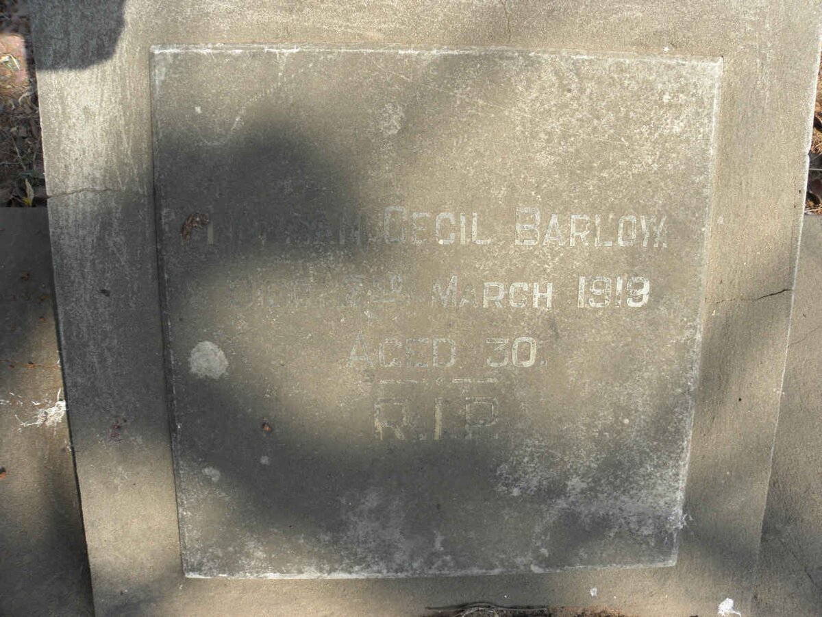 BARLOW Norman Cecil -1919