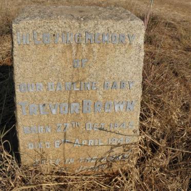 BROWN Trevor 1945-1946