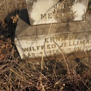 JELLIMAN Ernest Wilfred 1877-1908