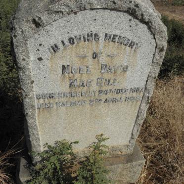 MacGILL Noel David 1907-1935