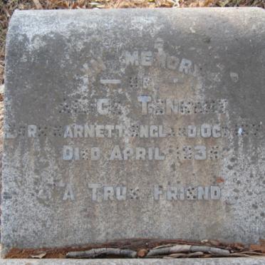 TENNANT Al?c? 187?-193?