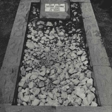 CELLIERS Susana Johanna -1950