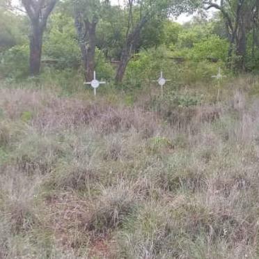 Zimbabwe, MASVINGO, District Masvingo, Pioneer cemetery