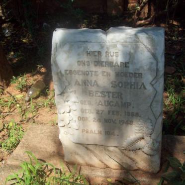 Zimbabwe, CHINHOYI, Main Cemetery