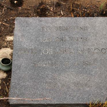 PLOOY David Johannes, du -1946