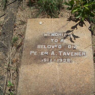 TAVENER Peter A. 1913-1939