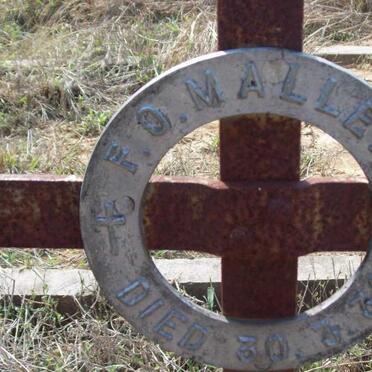 M - Surnames :: Vanne - M